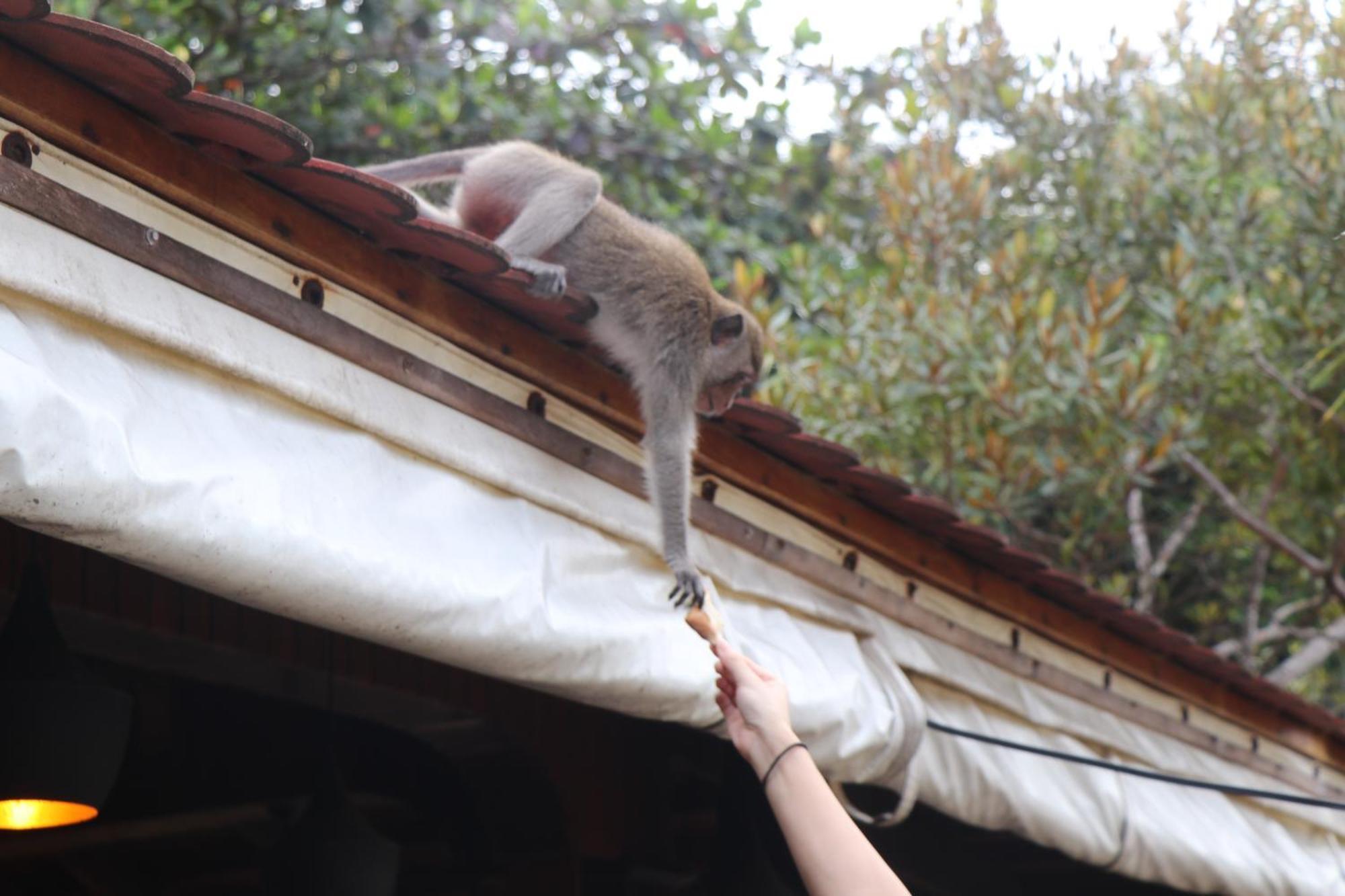 Tree House Bungalows Kaoh Touch エクステリア 写真